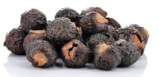 Tanaman Lerak, dari Sabun Hingga Pembasmi Hama